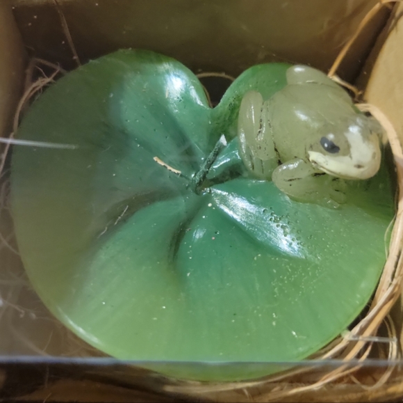 Amscan Home Accents Amscan Home In The Garden Frogs On Lilypads